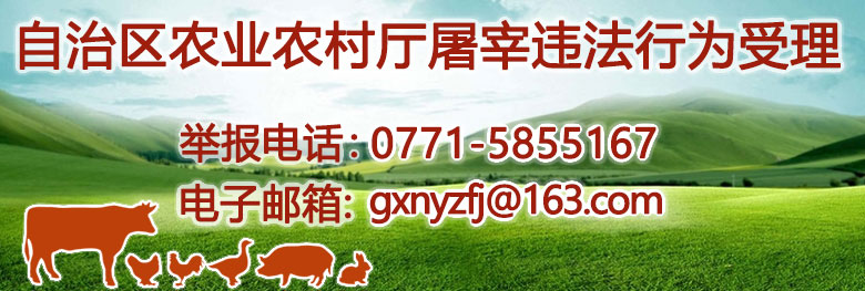 91自拍
违反动物防疫和生猪屠宰法律法规行为举报联系方式