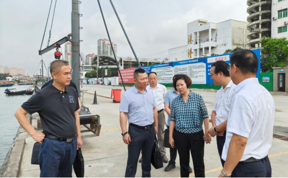 欧毅霞副厅长带队到电建渔港检查休渔期间安全生产工作.jpg
